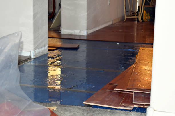 Professional Water Damage Restoration technician working in Mount Gay, WV